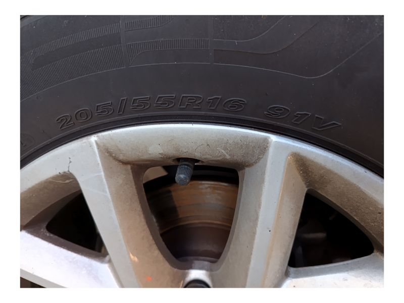 Foto neumáticos coche 1